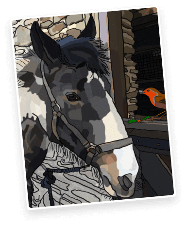 new-artist-slider-4