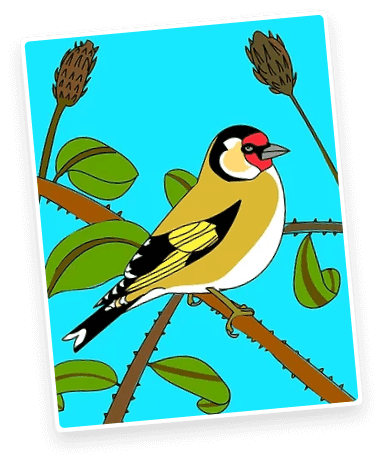 new-artist-slider-5