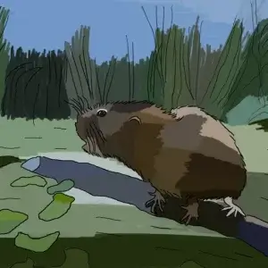 my-design-slider-img-12