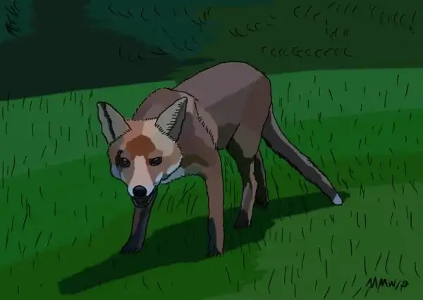 my-design-slider-img-19