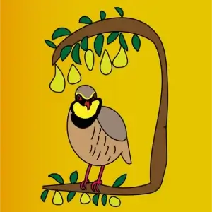 my-design-slider-img-21