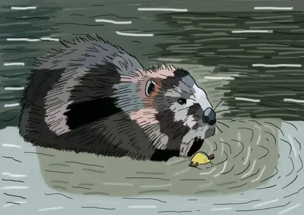 my-design-slider-img-29