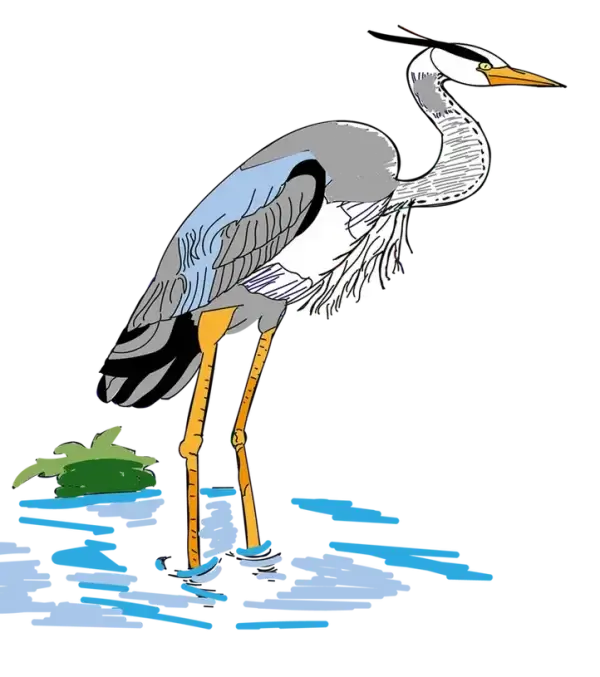 my-design-slider-img-3