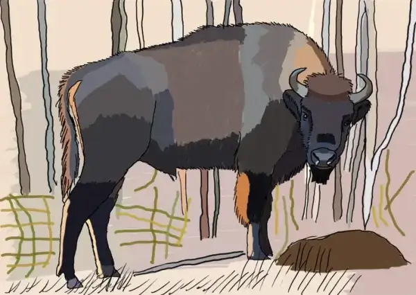 my-design-slider-img-42