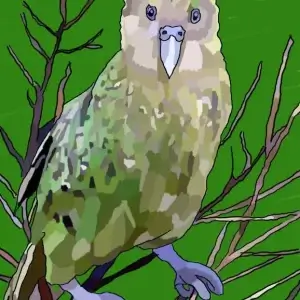 Kakapo parrot
