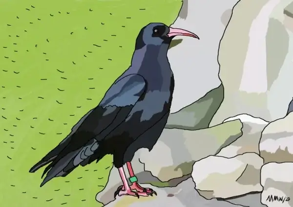 my-design-slider-img-67