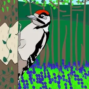 my-design-slider-img-70