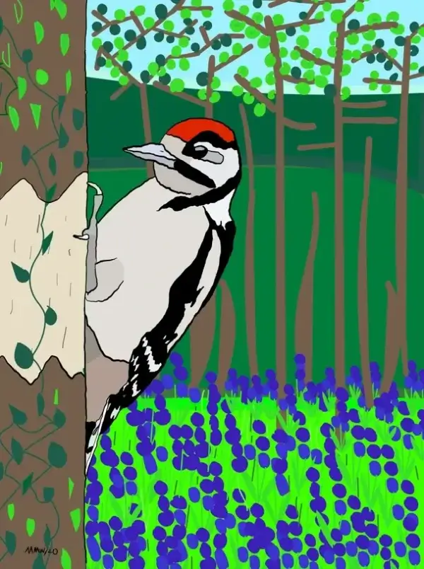 my-design-slider-img-70