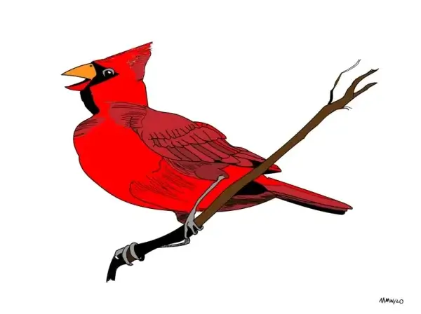 Cardinal