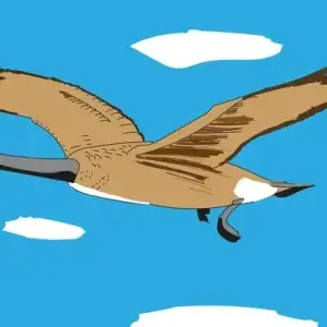 my-design-slider-img-76