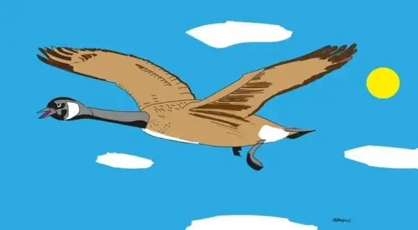 my-design-slider-img-76