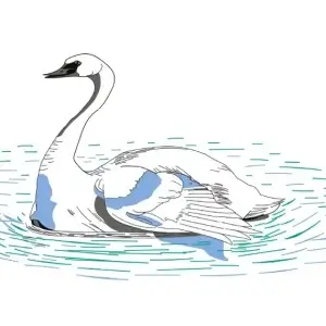 my-design-slider-img-78