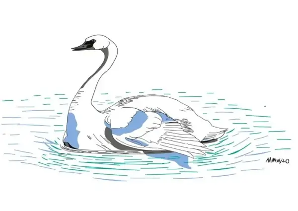 my-design-slider-img-78