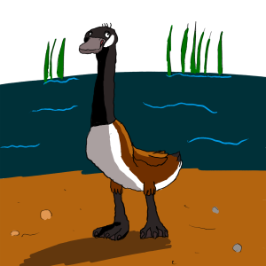Cartoon Canadian Goose
