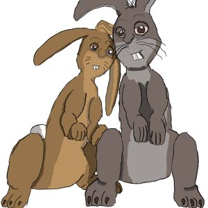 Mr and Mrs Rabbit