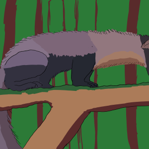 Pine marten spotted at Aigas, Scotland