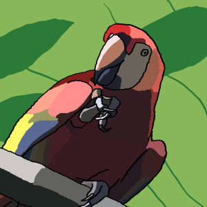 Brightly coloured macaw bird from Costa Rica