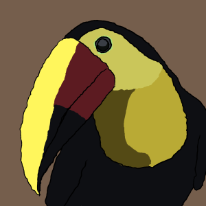 Bright yellow billed Toucan bird from Costa Rica