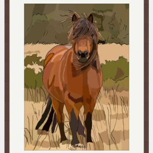 Dartmoor pony