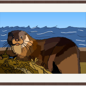 Colourful Eurasian Otter