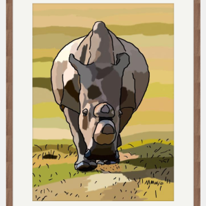 Northern White Rhino