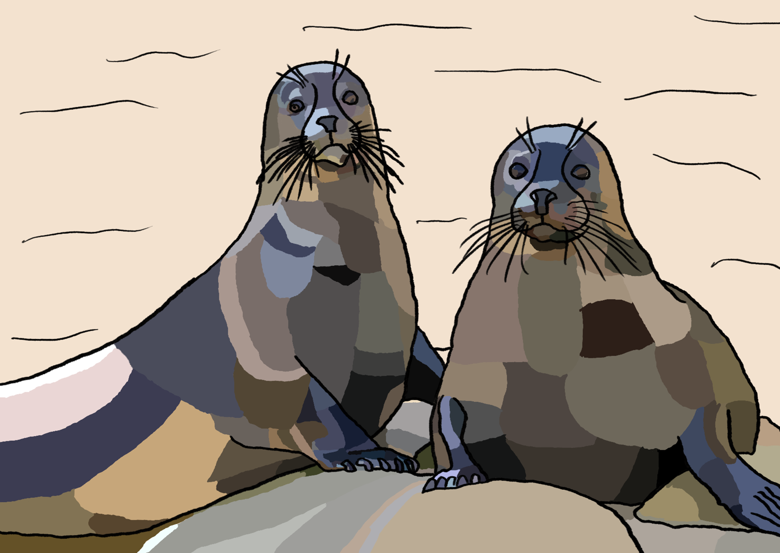 Pair of seals - bro and buddy