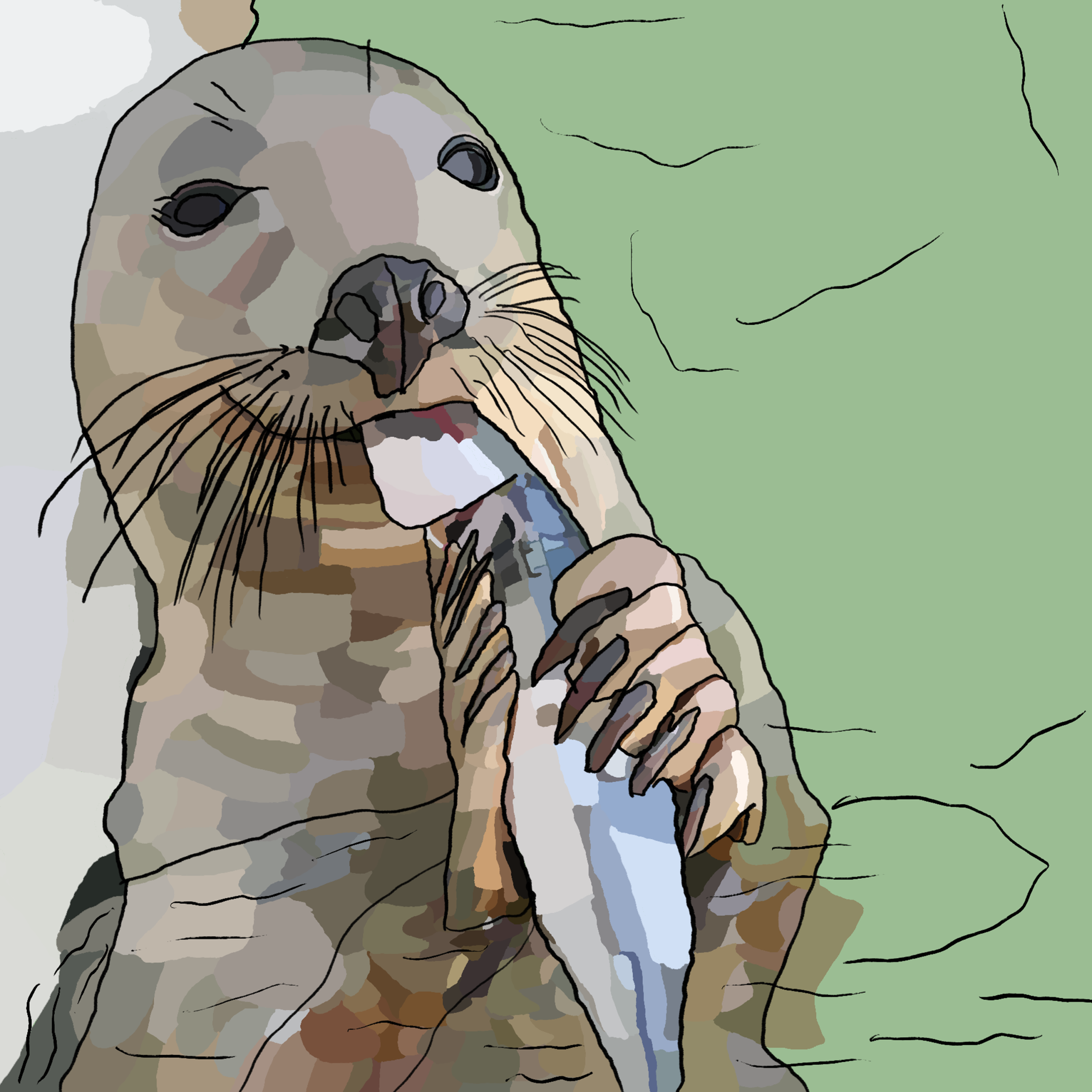 Seal pup eating a fish