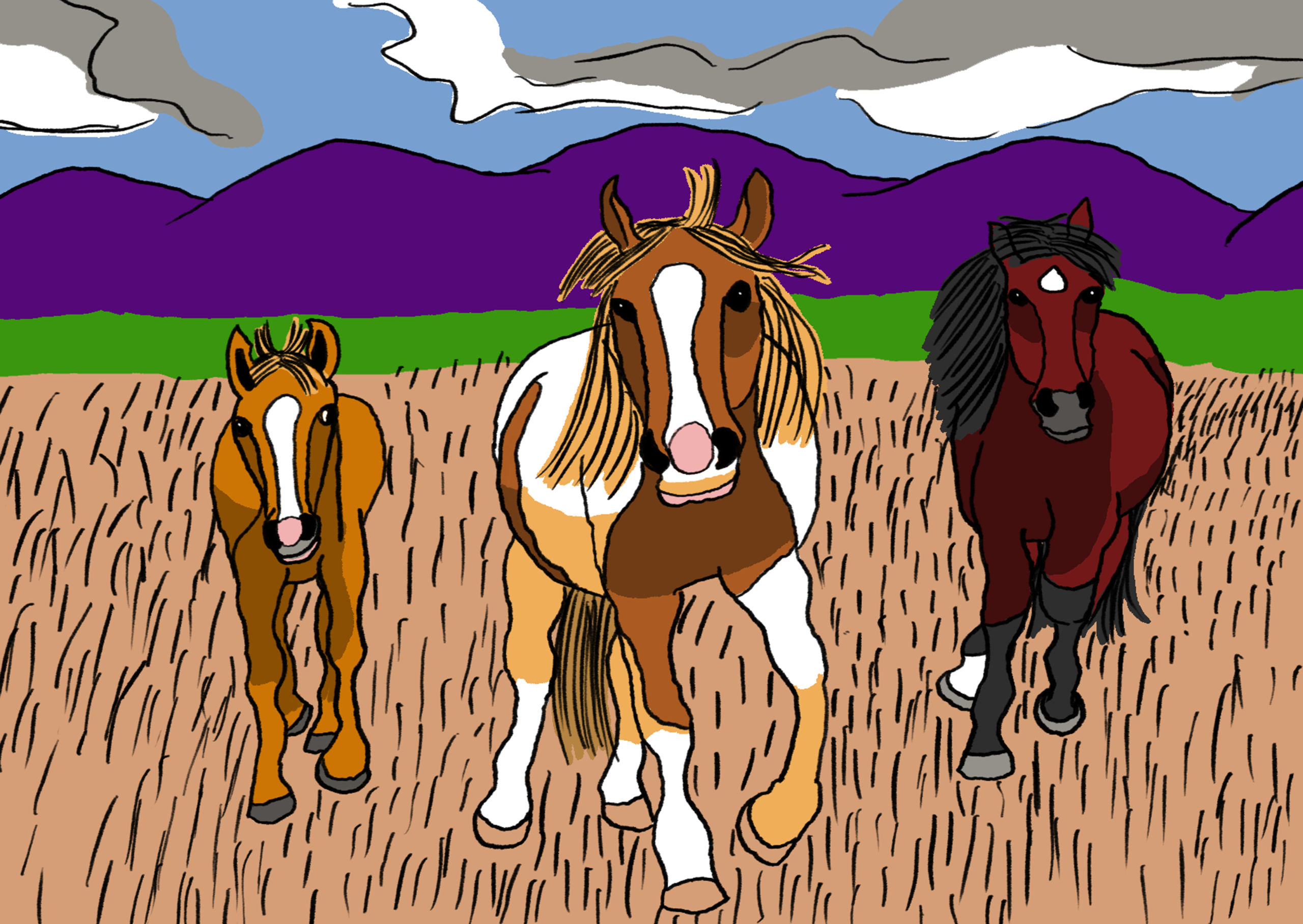 Herd of mustangs