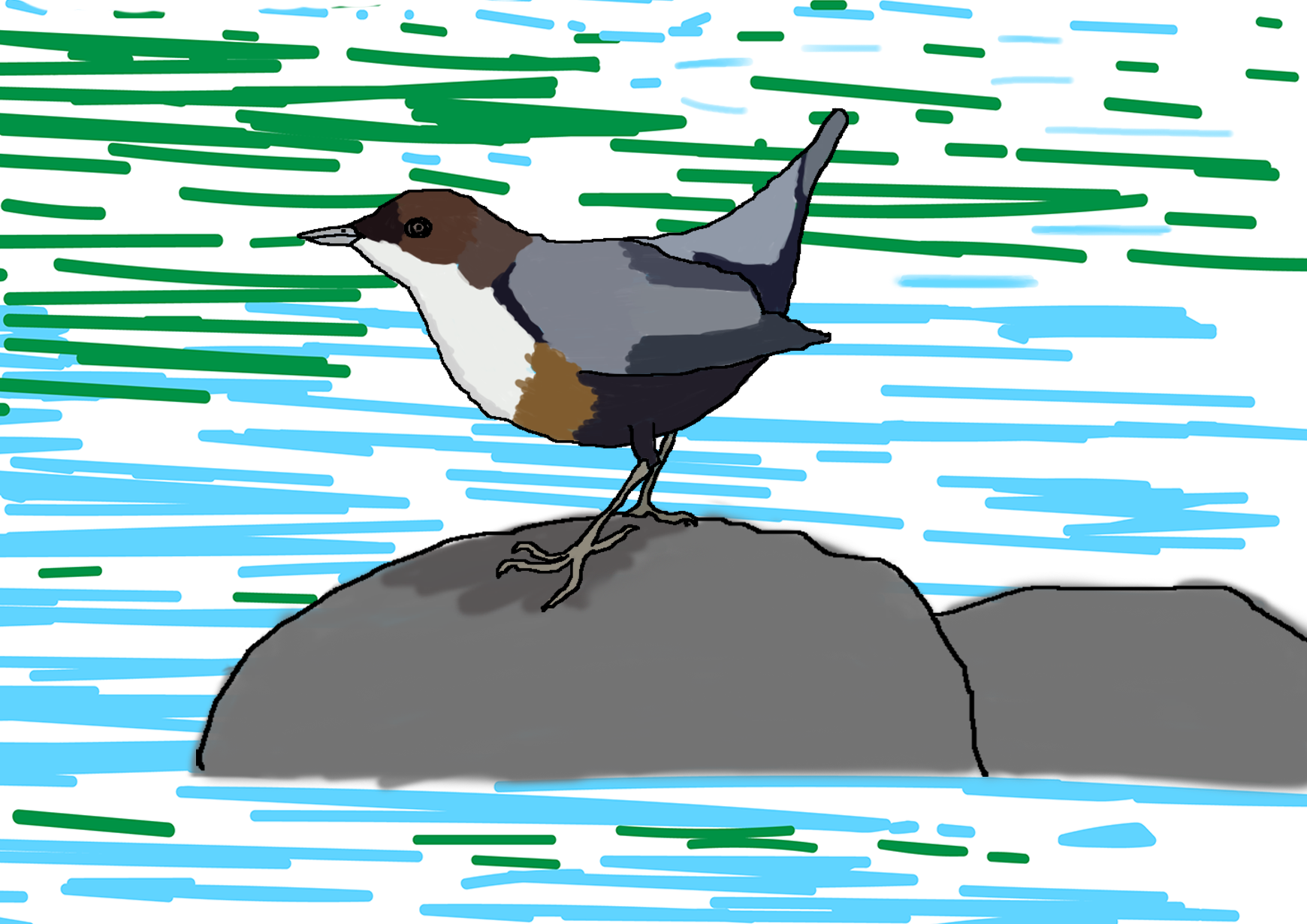 Dipper