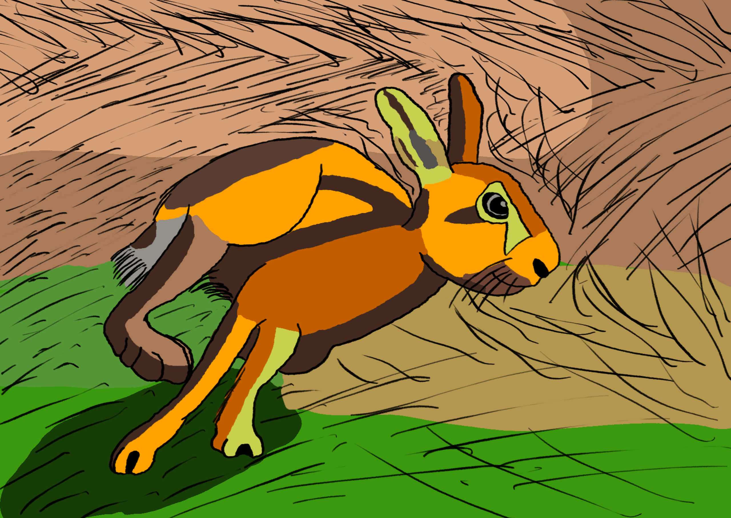 Hare running