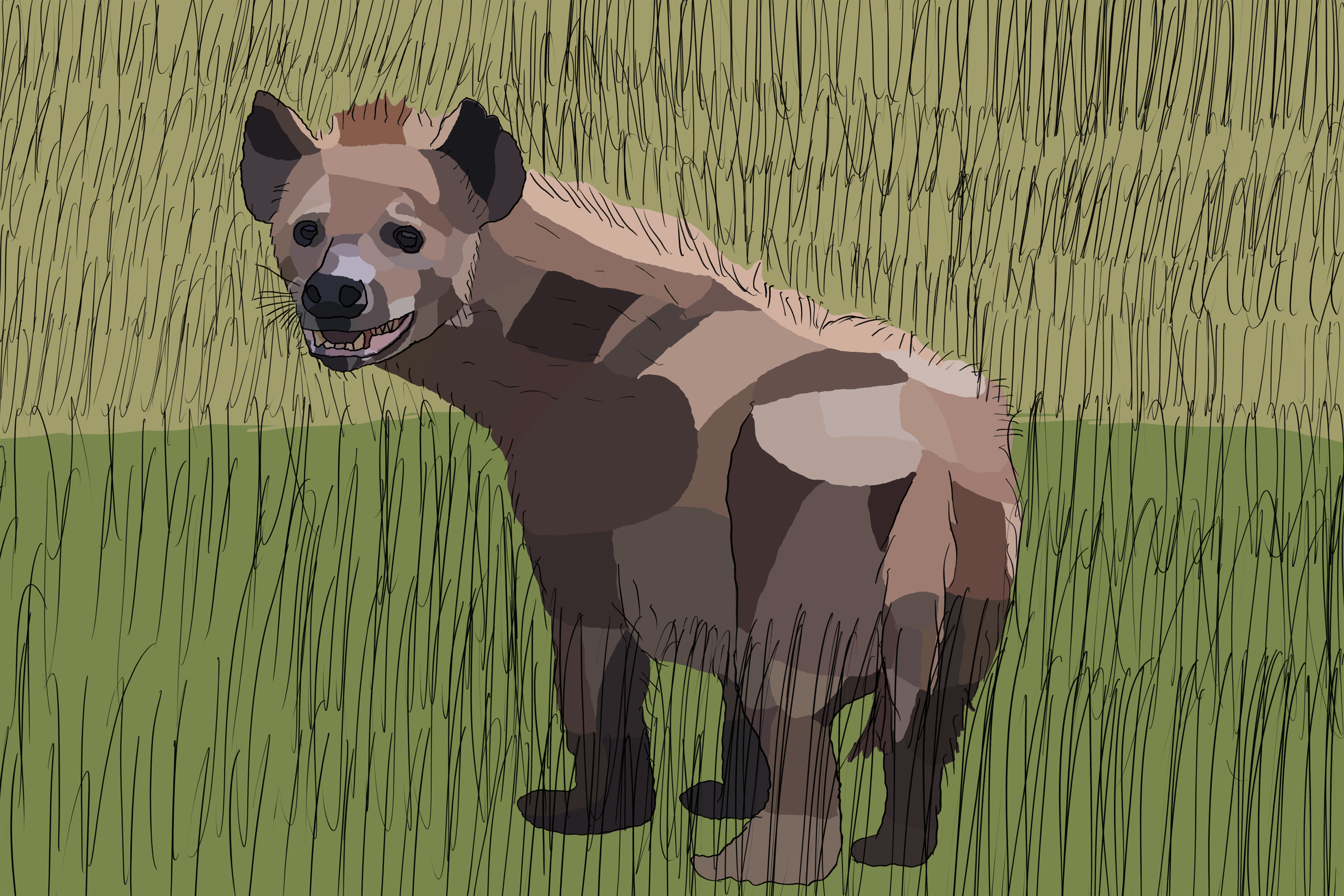 Hyena