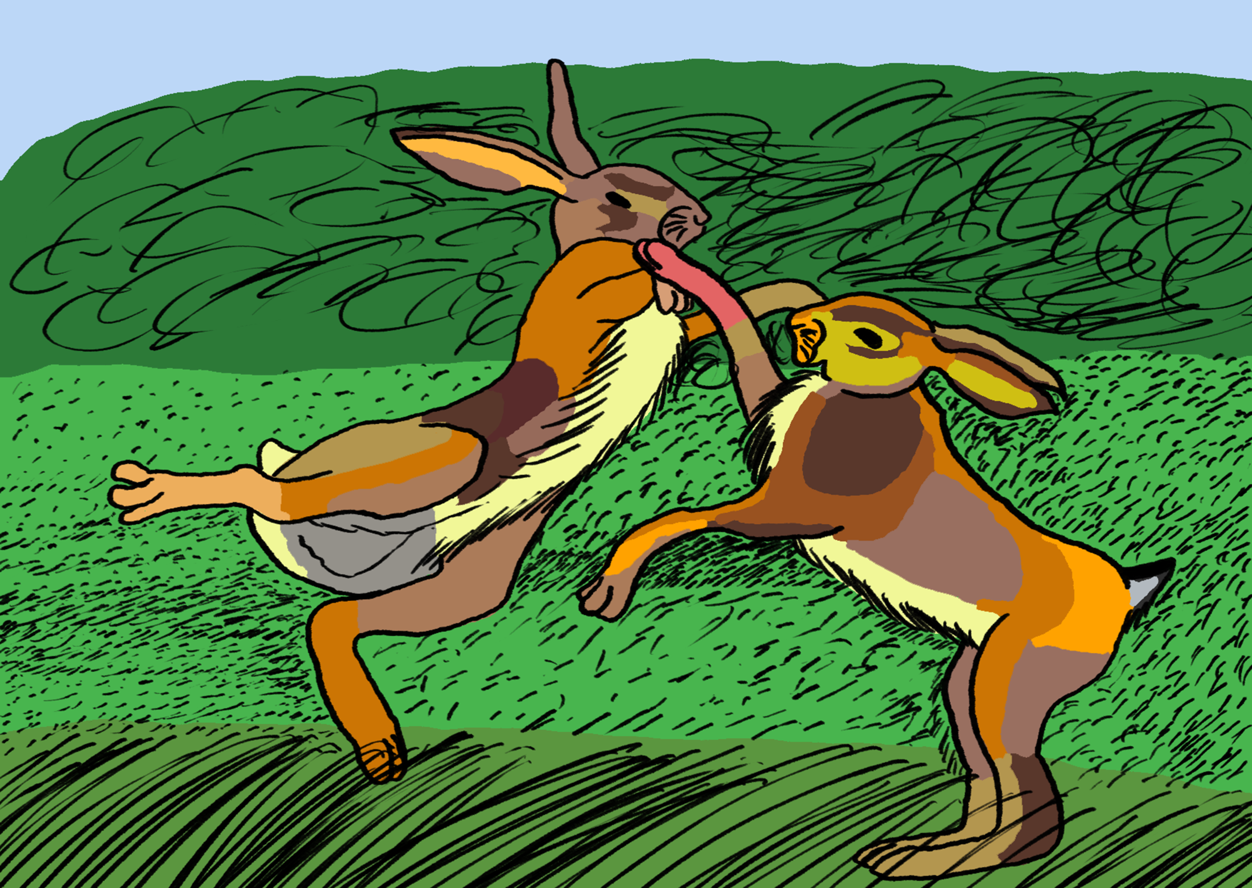 Two hares boxing in a field