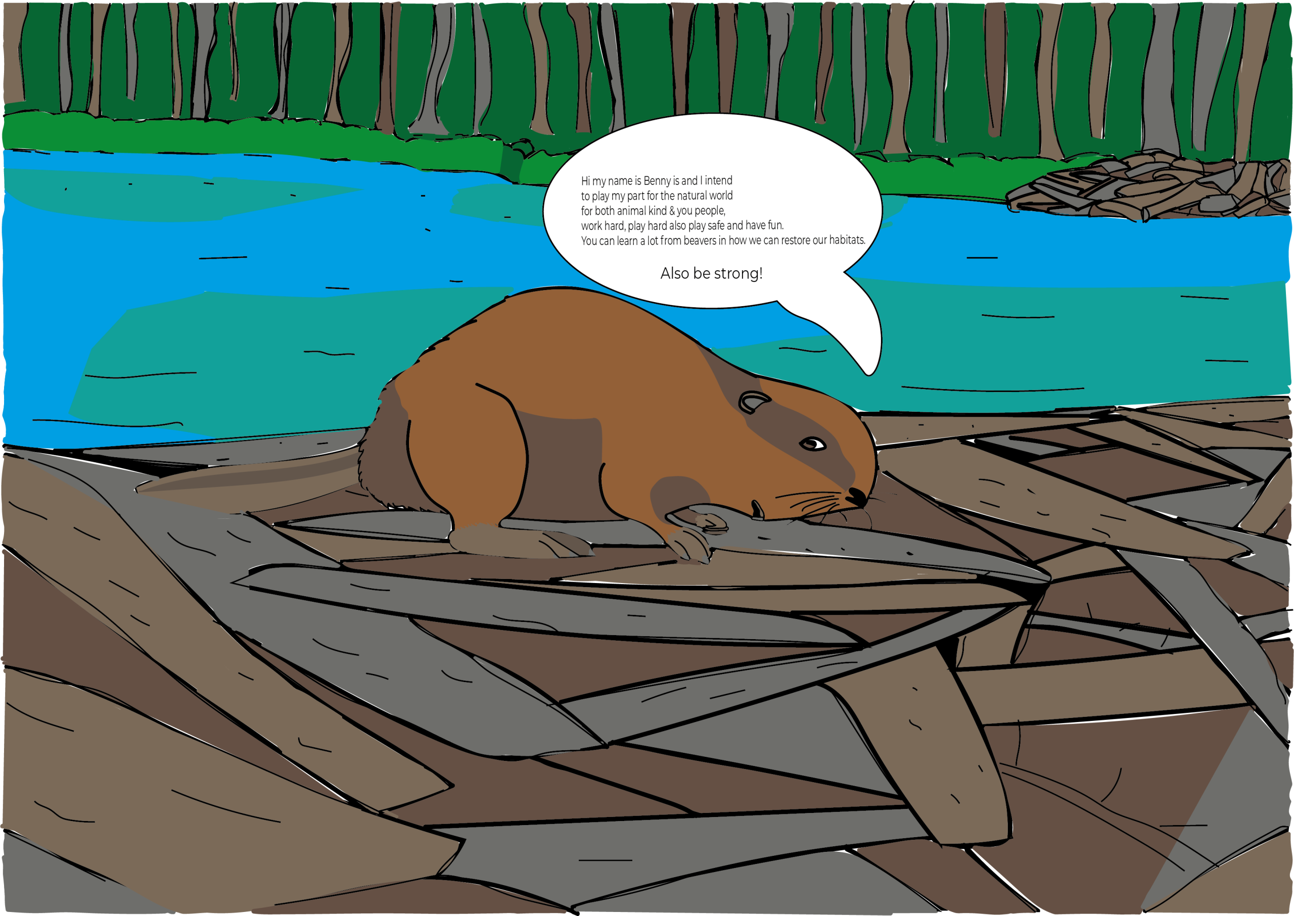 Beavers from Aigas, Scotland on its dam