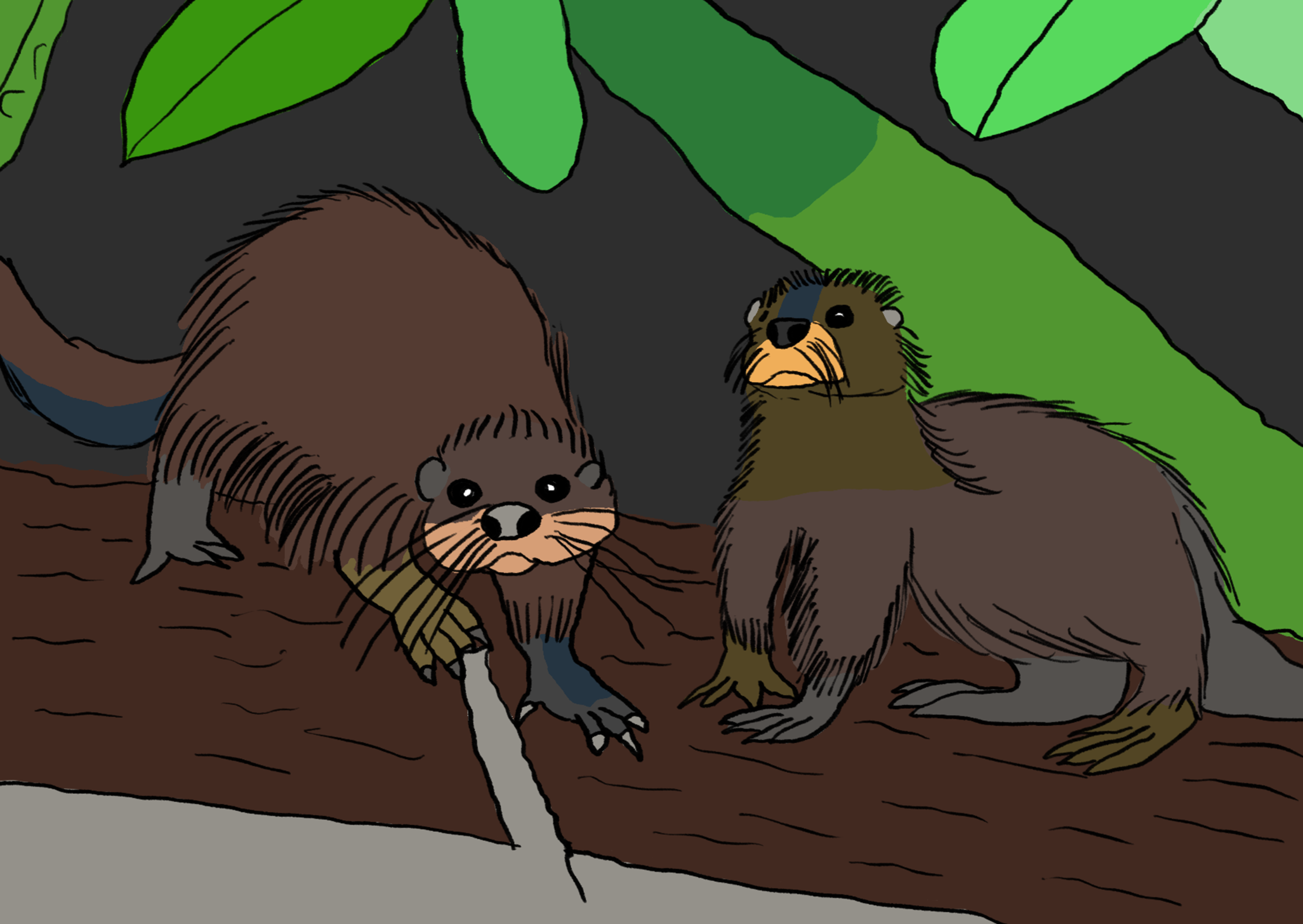 Two otters