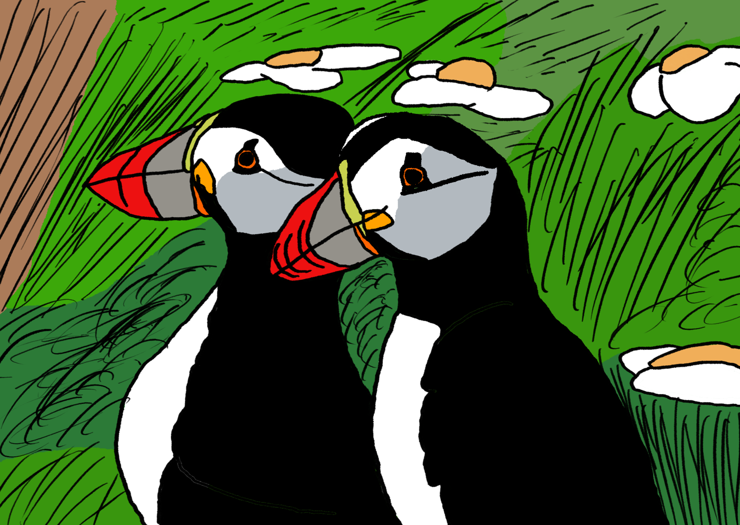 Two valentine puffins