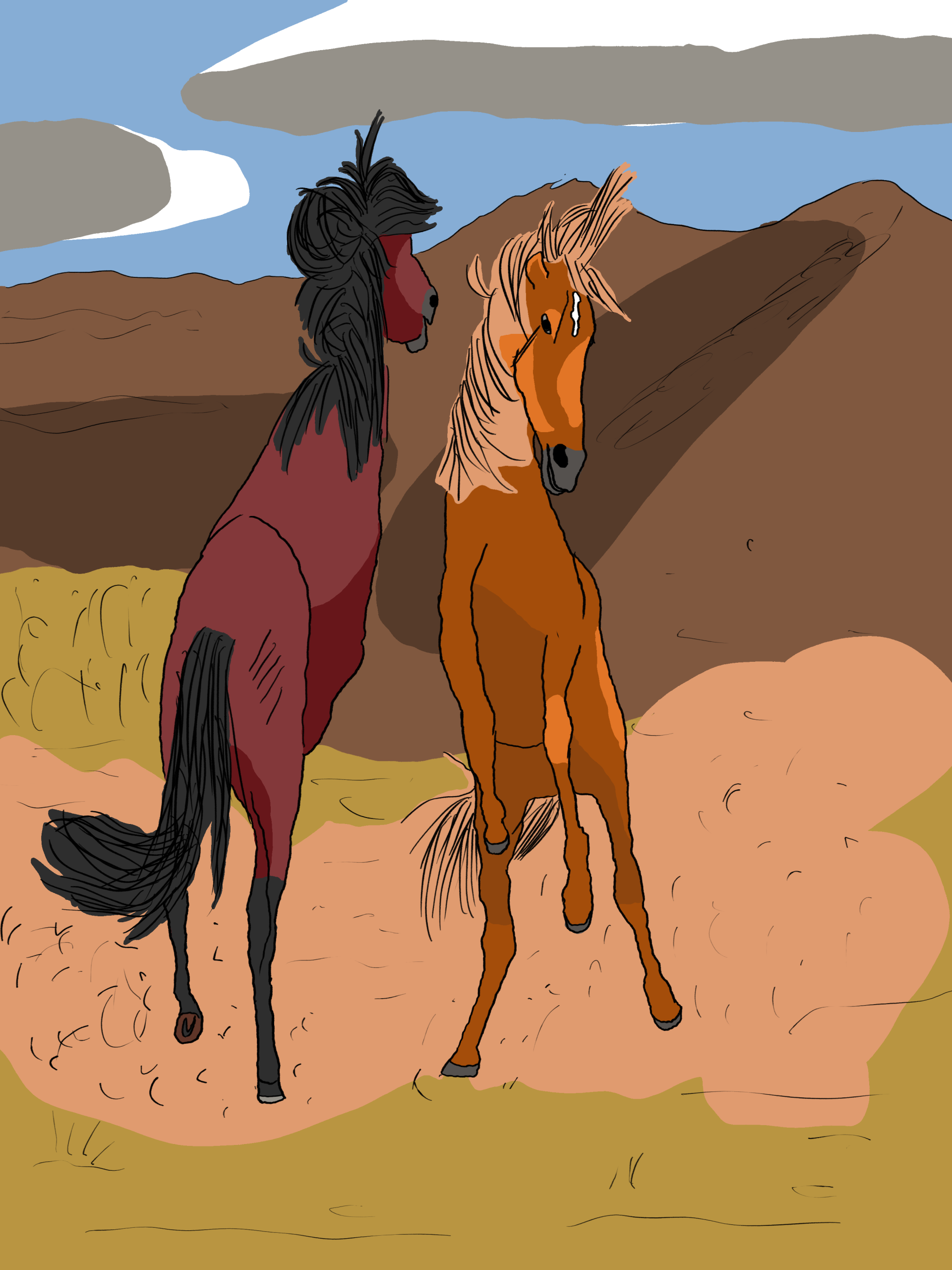 Two American wild horses fighting