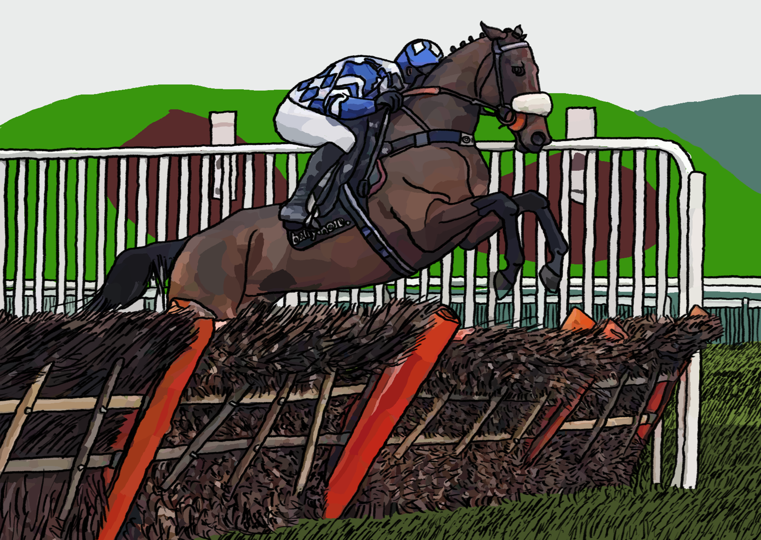Race horse jumping a fence