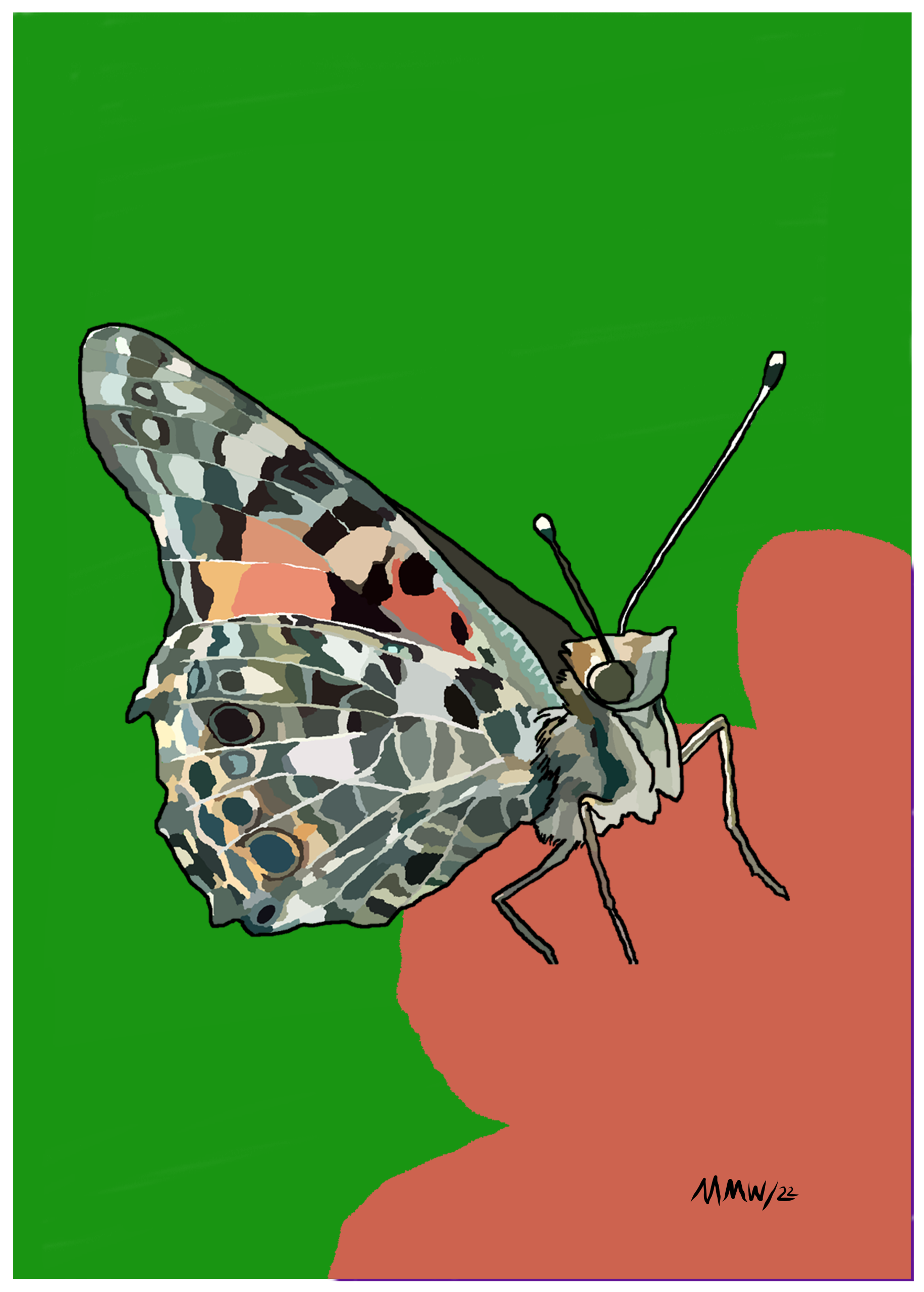 Butterfly with pink