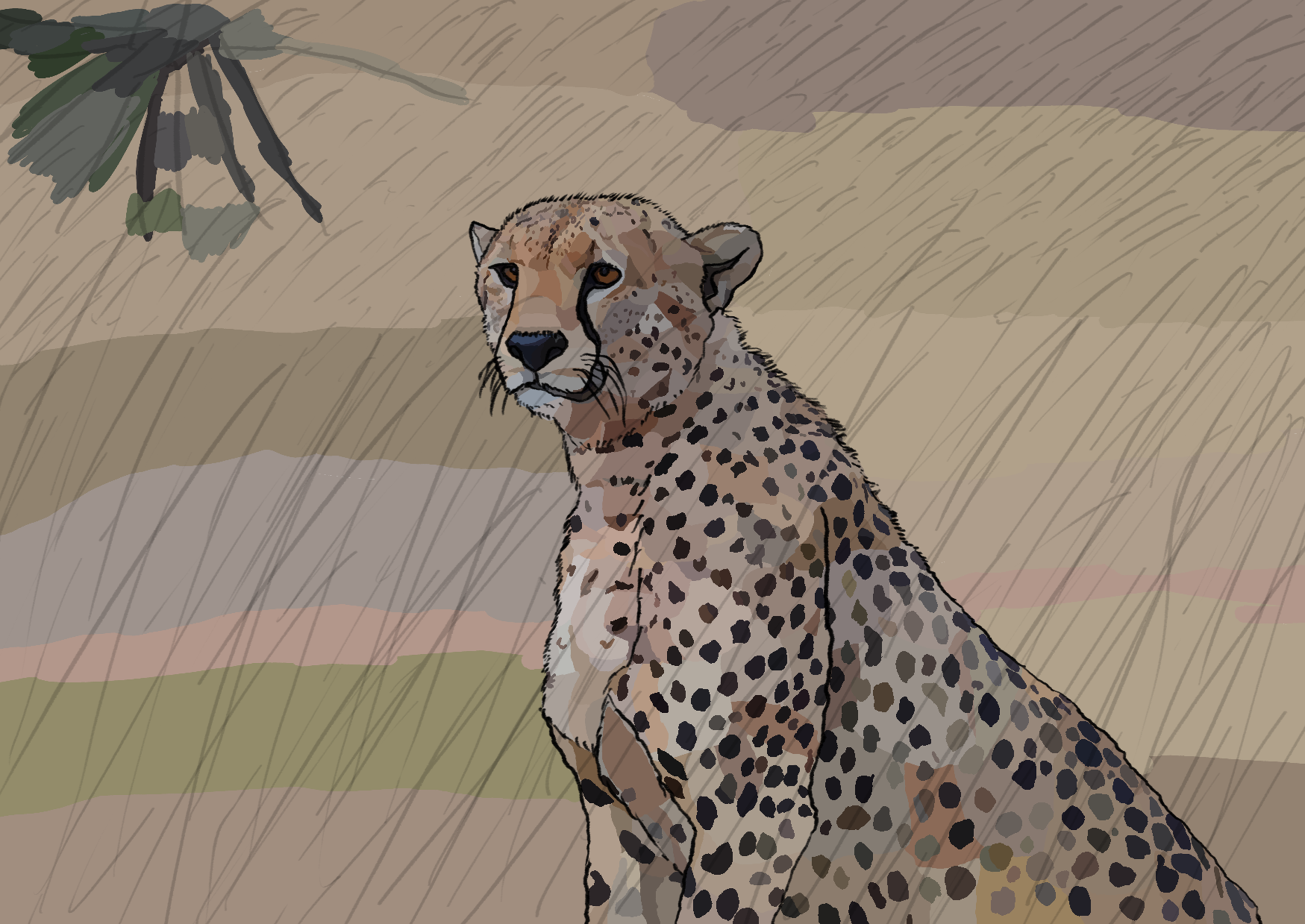 Cheetah in the grasses of the Mara