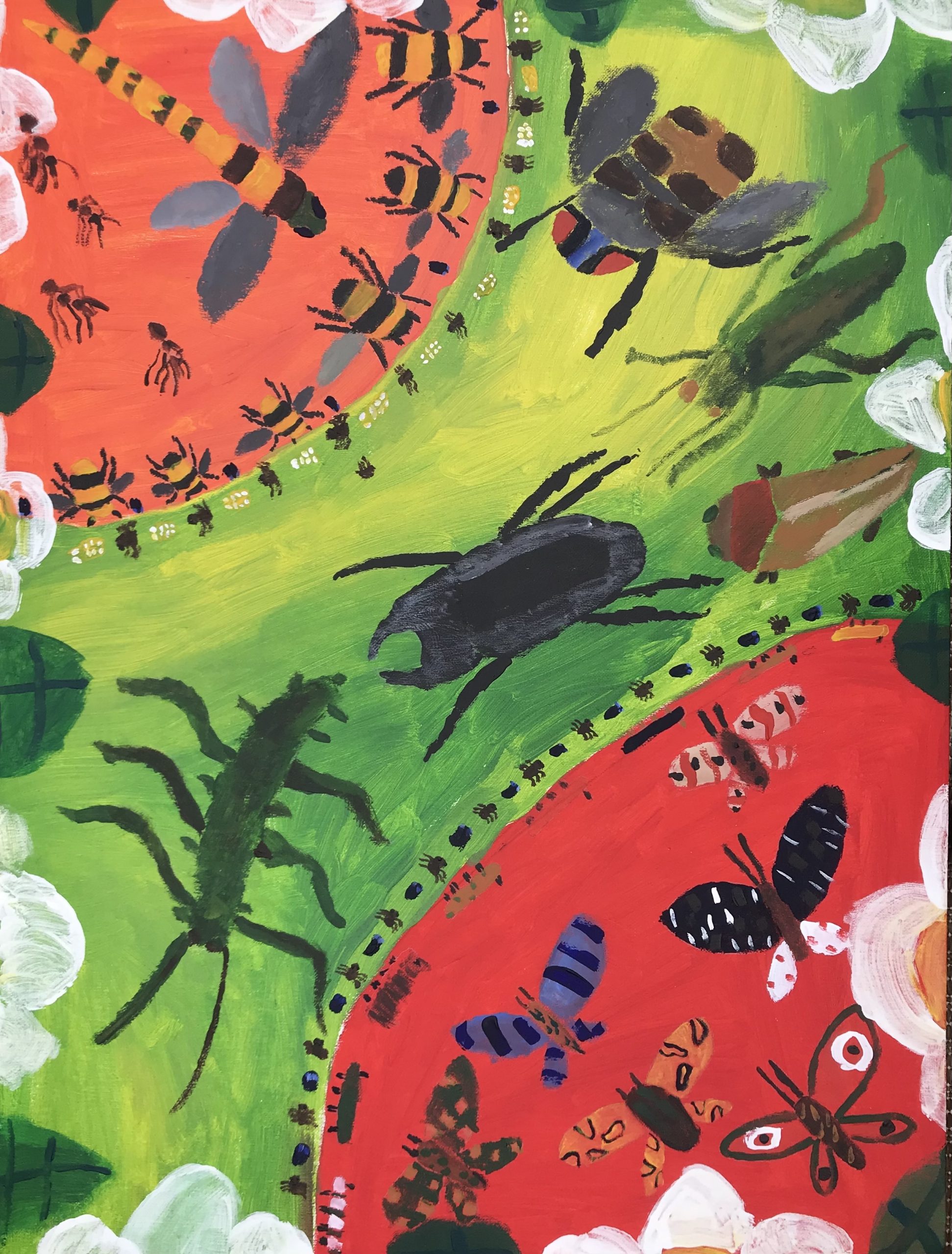 Insect collage